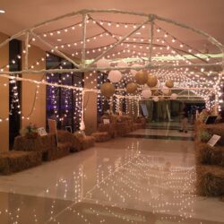 Natthakan Thawatchai Wedding at Surat Thani